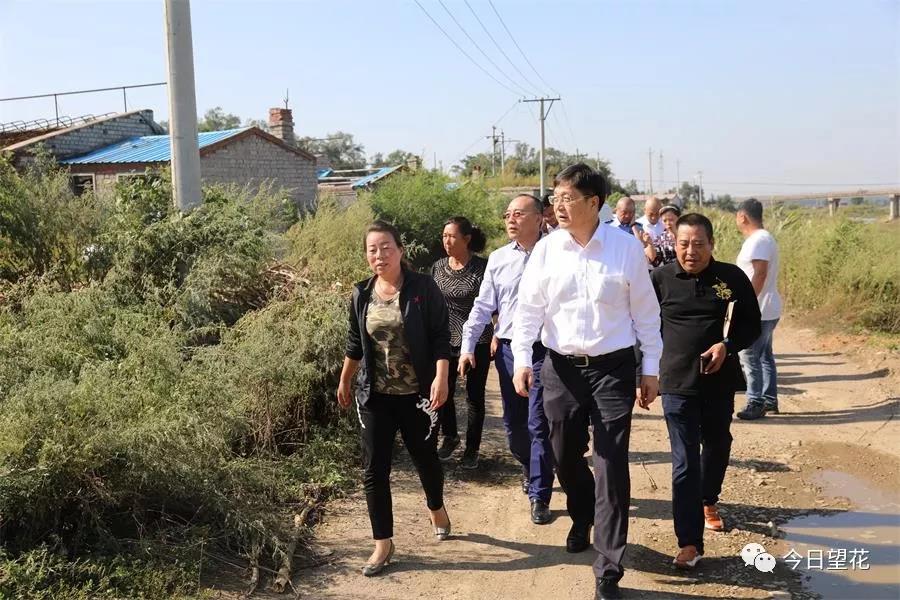 市委常委常务副市长蒲信子到望花区走访调研重点企业和项目助推乡村