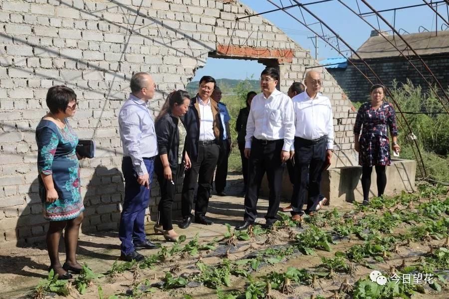 抚顺市望花区政府